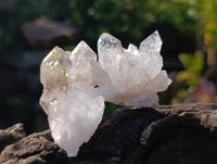 Natural Flower Quartz Clusters x 20 From Brandberg, Namibia