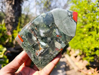 Polished Bloodstone Points x 2 From Swaziland