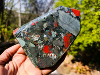 Polished Bloodstone Points x 2 From Swaziland