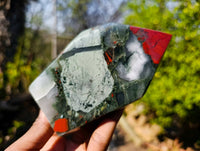 Polished Bloodstone Points x 2 From Swaziland