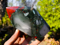 Polished Bloodstone Points x 2 From Swaziland