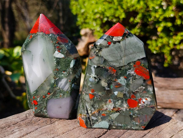 Polished Bloodstone Points x 2 From Swaziland
