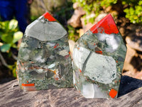 Polished Bloodstone Points x 2 From Swaziland