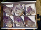 Natural Jacaranda Amethyst Clusters x 6 From Zambia - Toprock Gemstones and Minerals 