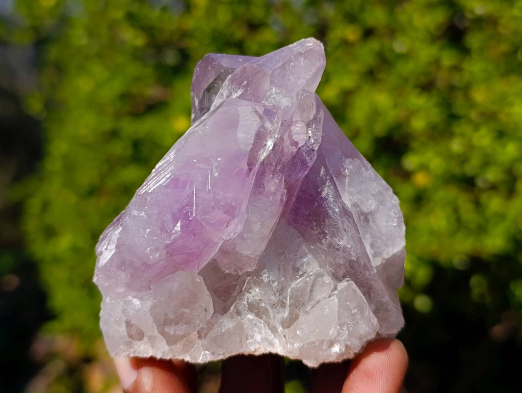 Natural Jacaranda Amethyst Clusters x 6 From Zambia - Toprock Gemstones and Minerals 