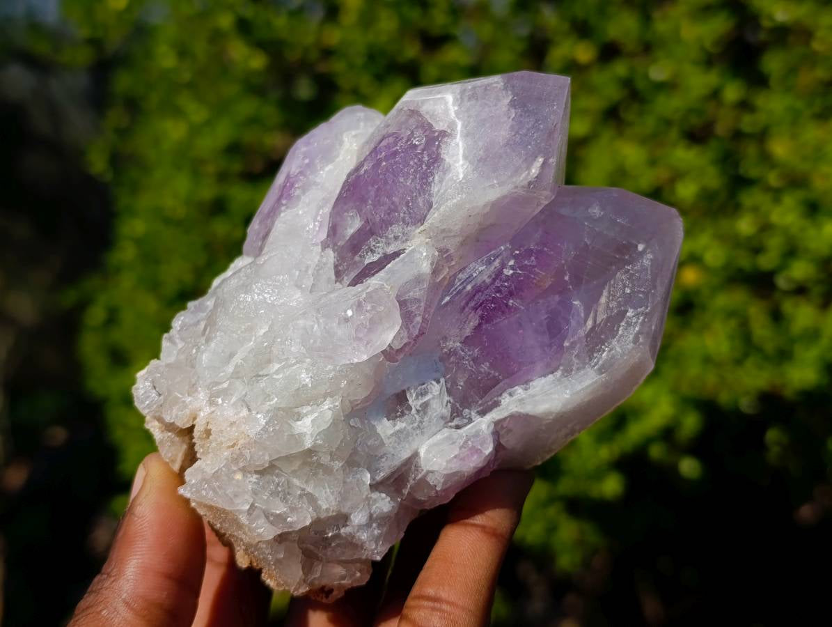 Natural Jacaranda Amethyst Clusters x 6 From Zambia - Toprock Gemstones and Minerals 