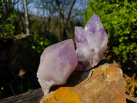 Natural Jacaranda Amethyst Clusters x 6 From Zambia - Toprock Gemstones and Minerals 