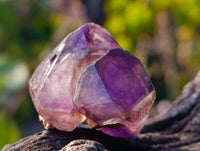 Natural Window Amethyst Crystals x 35 From Chiredzi, Zimbabwe