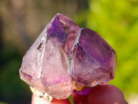 Natural Window Amethyst Crystals x 35 From Chiredzi, Zimbabwe