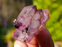 Natural Window Amethyst Crystals x 35 From Chiredzi, Zimbabwe
