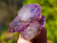 Natural Window Amethyst Crystals x 35 From Chiredzi, Zimbabwe