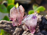 Natural Window Amethyst Crystals x 35 From Chiredzi, Zimbabwe