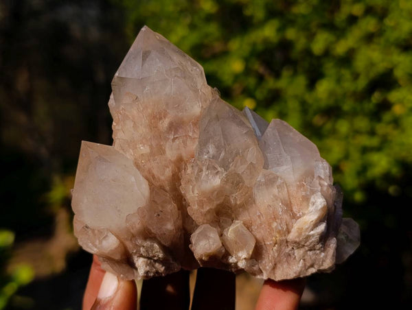 Natural Phantom Smokey Quartz Clusters x 6 From Luena, Congo - Toprock Gemstones and Minerals 