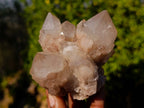 Natural Phantom Smokey Quartz Clusters x 6 From Luena, Congo - Toprock Gemstones and Minerals 