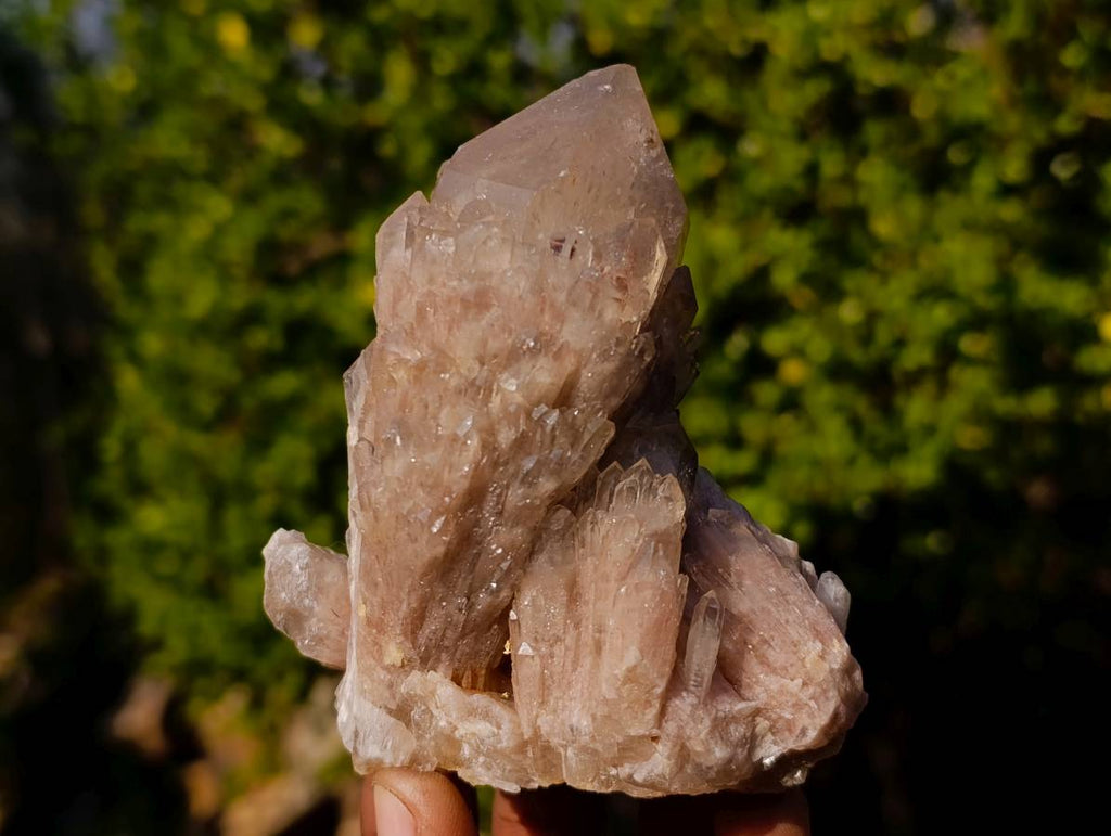 Natural Phantom Smokey Quartz Clusters x 6 From Luena, Congo - Toprock Gemstones and Minerals 