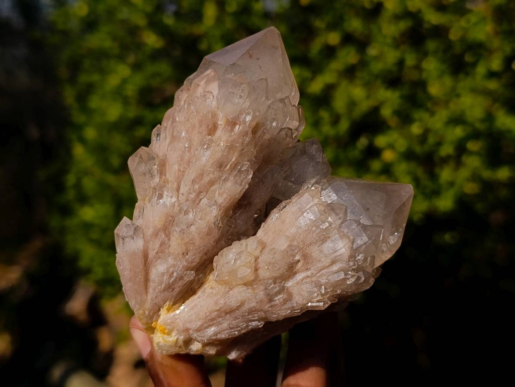 Natural Phantom Smokey Quartz Clusters x 6 From Luena, Congo - Toprock Gemstones and Minerals 