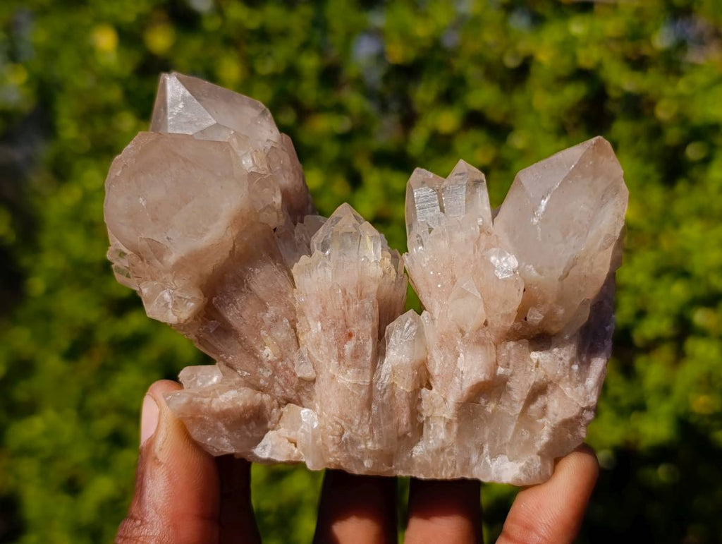 Natural Phantom Smokey Quartz Clusters x 6 From Luena, Congo - Toprock Gemstones and Minerals 