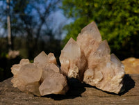 Natural Phantom Smokey Quartz Clusters x 6 From Luena, Congo - Toprock Gemstones and Minerals 