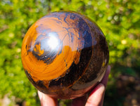 Polished Tigers Eye Sphere x 1 From Prieska, South Africa - Toprock Gemstones and Minerals 
