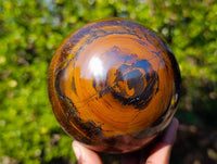 Polished Tigers Eye Sphere x 1 From Prieska, South Africa - Toprock Gemstones and Minerals 