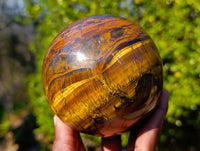 Polished Tigers Eye Sphere x 1 From Prieska, South Africa - Toprock Gemstones and Minerals 