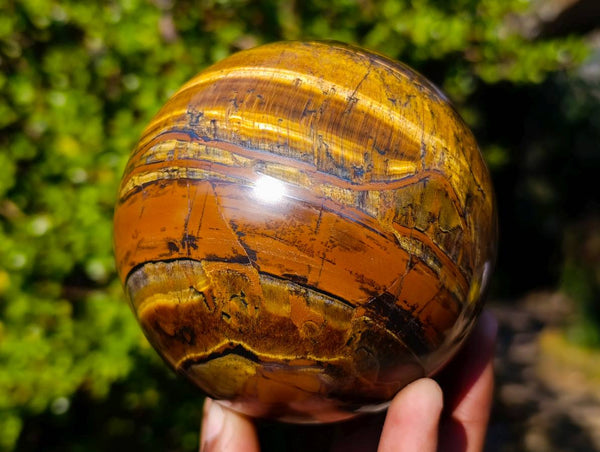 Polished Tigers Eye Sphere x 1 From Prieska, South Africa