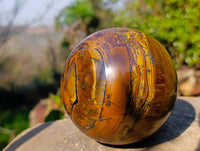 Polished Tigers Eye Sphere x 1 From Prieska, South Africa - Toprock Gemstones and Minerals 