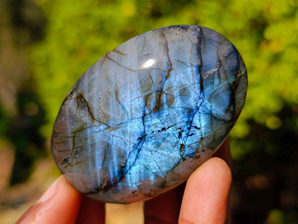Polished Labradorite Palm Stones x 12 From Tulear, Madagascar