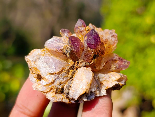 Natural Mixed Quartz Crystal Specimens x 64 From Brandberg, Namibia