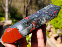 Polished Double Terminated Bloodstone Points x 6 From Swaziland