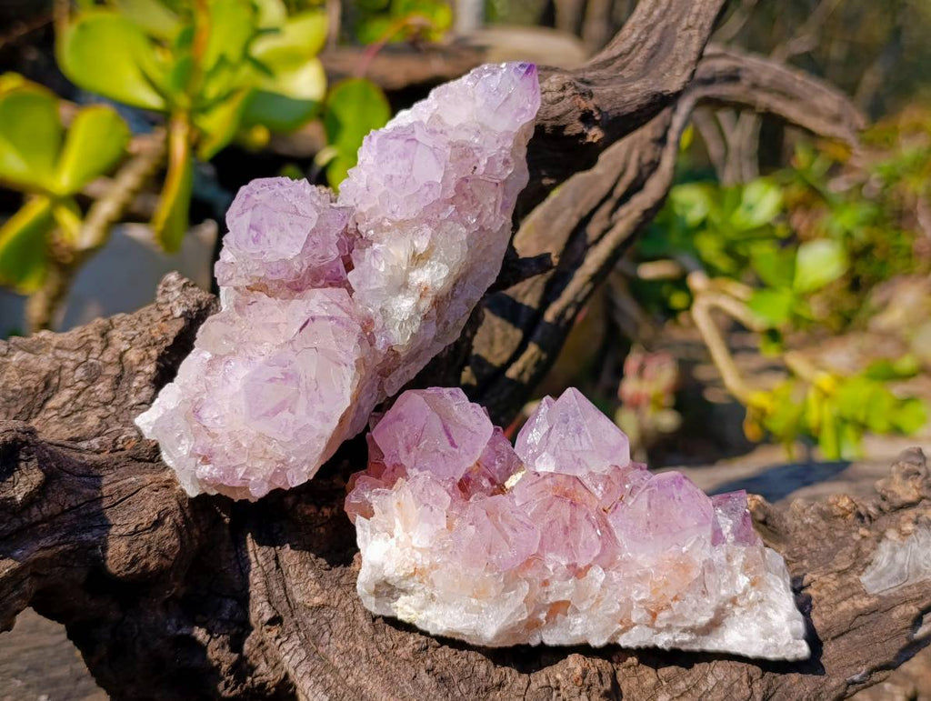 Natural Amethyst Spirit Quartz Clusters x 4 From South Africa - Toprock Gemstones and Minerals 