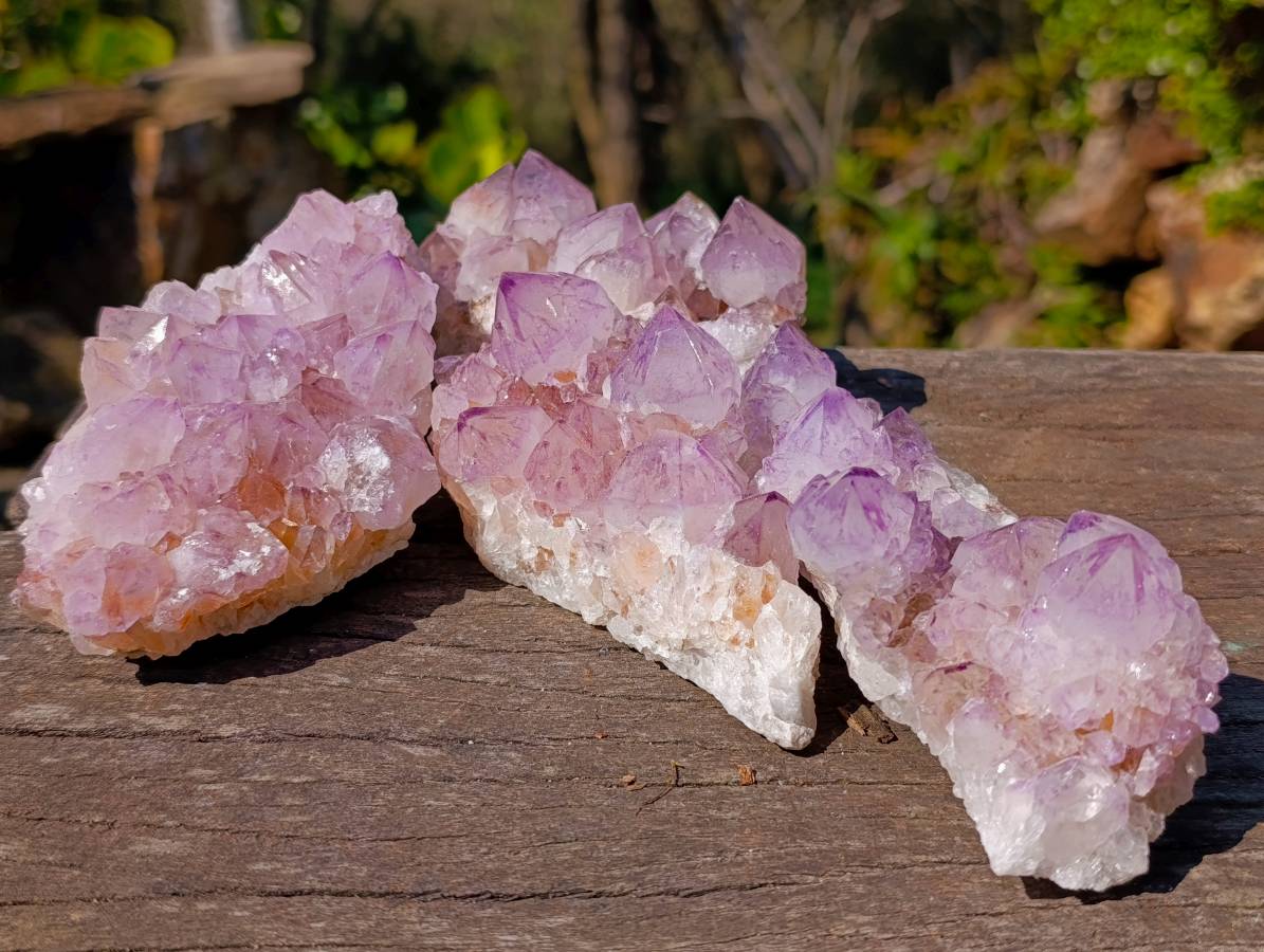 Natural Amethyst Spirit Quartz Clusters x 4 From South Africa - Toprock Gemstones and Minerals 