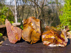 Natural Selected Nguni Jasper Cobbed Specimens x 12 From Prieska, South Africa - Toprock Gemstones and Minerals 