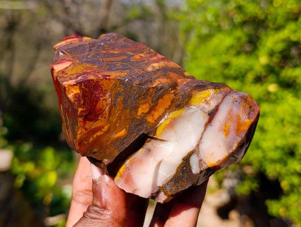 Natural Selected Nguni Jasper Cobbed Specimens x 12 From Prieska, South Africa