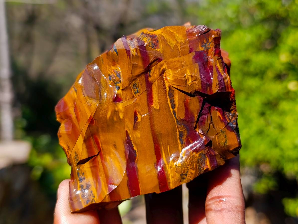 Natural Selected Nguni Jasper Cobbed Specimens x 12 From Prieska, South Africa - Toprock Gemstones and Minerals 