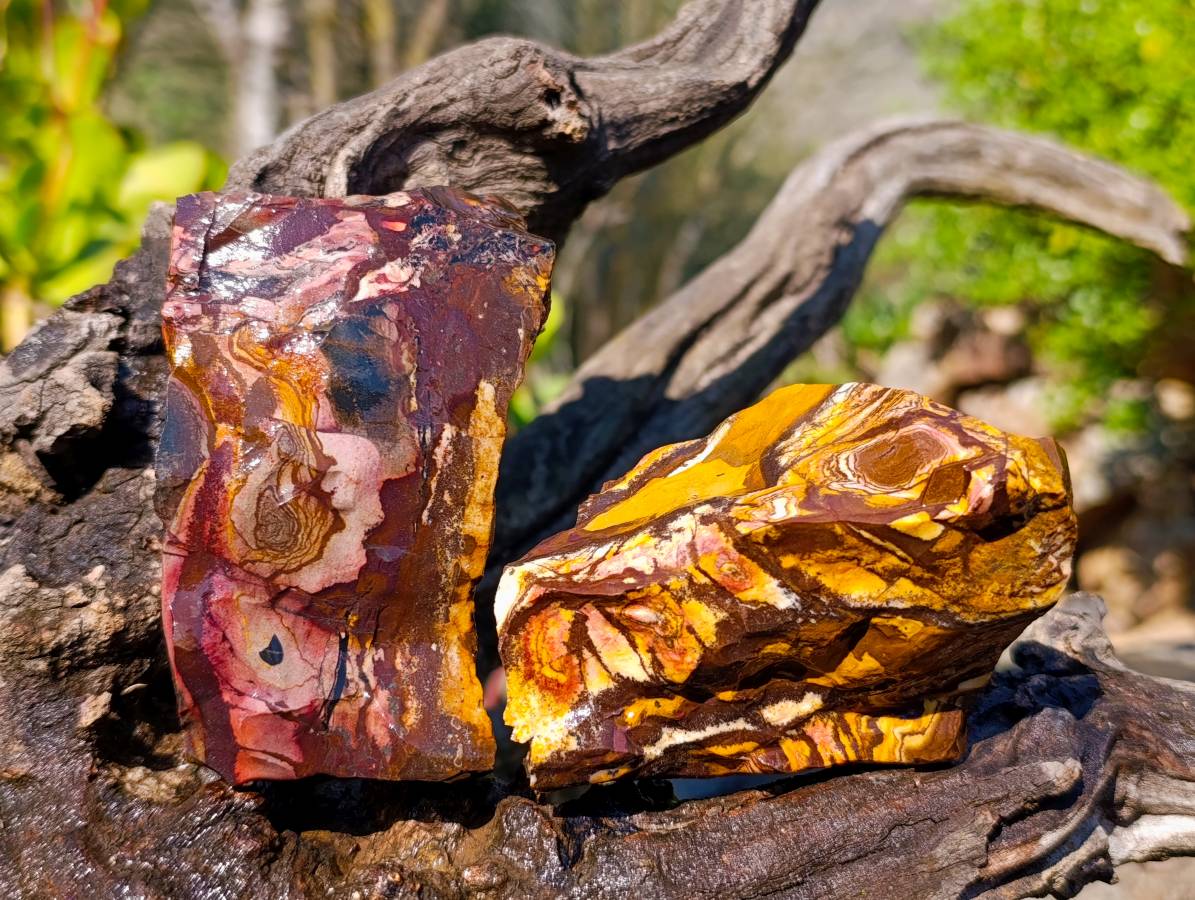 Natural Selected Nguni Jasper Cobbed Specimens x 12 From Prieska, South Africa - Toprock Gemstones and Minerals 