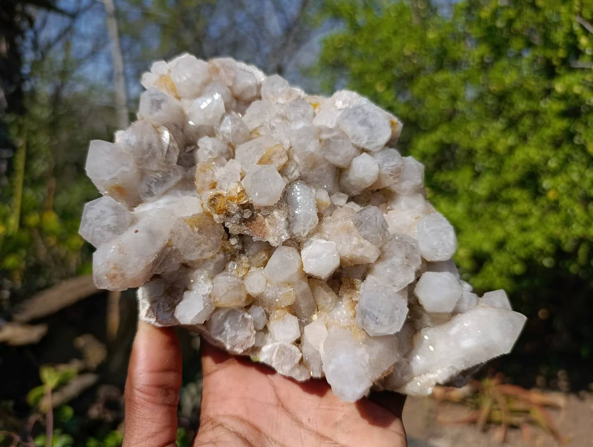 Natural Fairy Spirit Quartz Clusters x 2 From South Africa - Toprock Gemstones and Minerals 