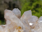 Natural Fairy Spirit Quartz Clusters x 2 From South Africa - Toprock Gemstones and Minerals 