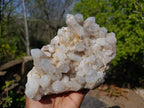Natural Fairy Spirit Quartz Clusters x 2 From South Africa - Toprock Gemstones and Minerals 