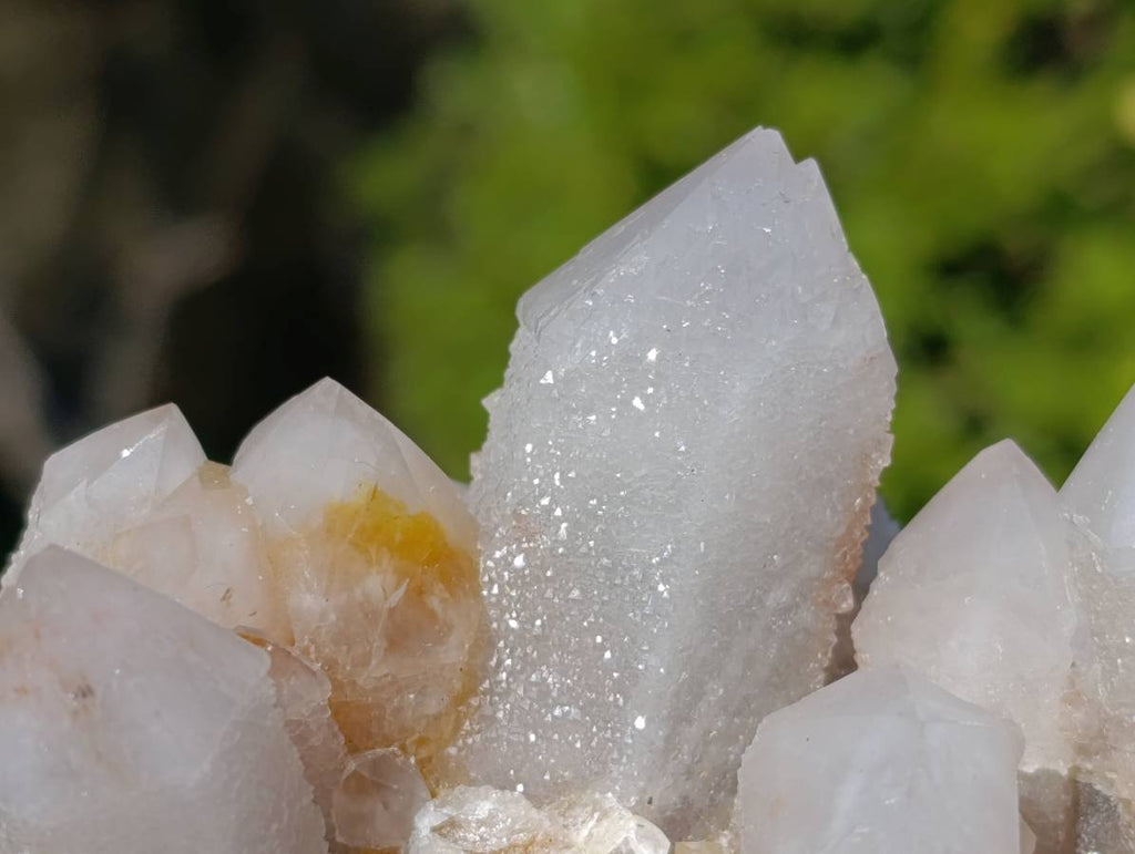 Natural Fairy Spirit Quartz Clusters x 2 From South Africa - Toprock Gemstones and Minerals 
