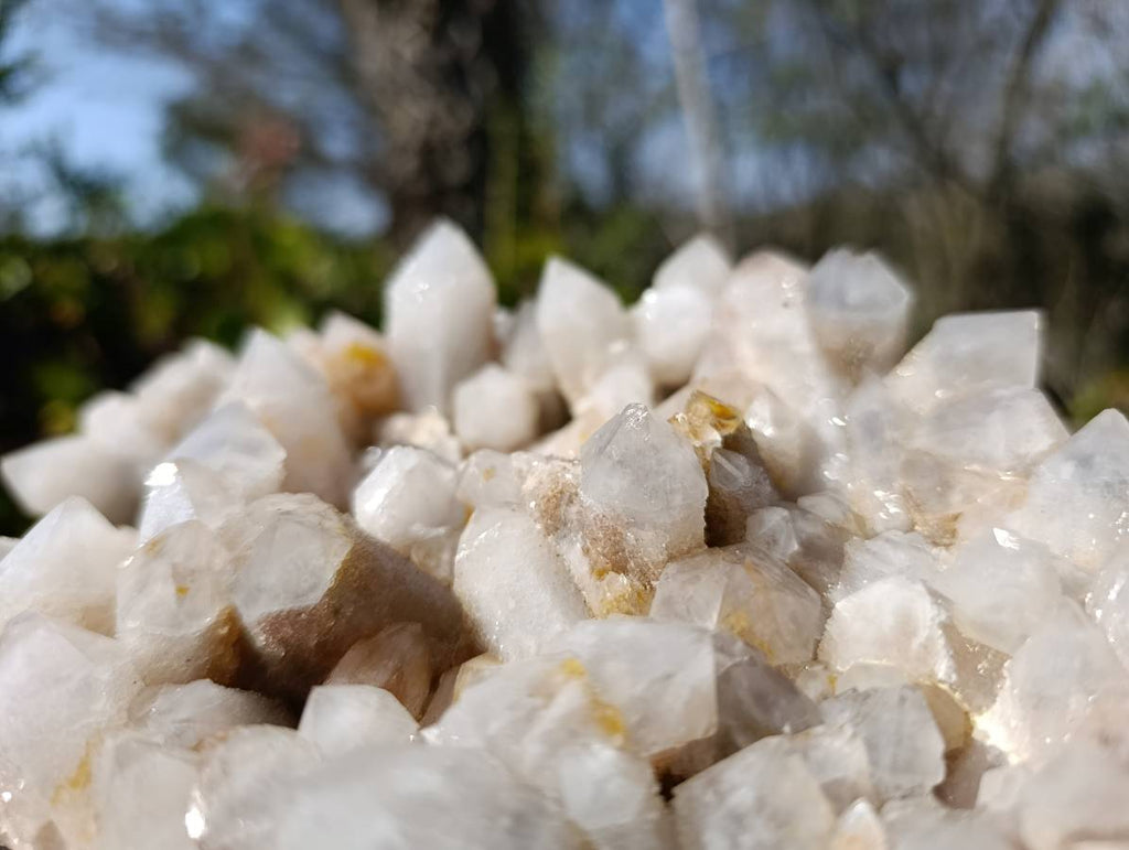 Natural Fairy Spirit Quartz Clusters x 2 From South Africa - Toprock Gemstones and Minerals 