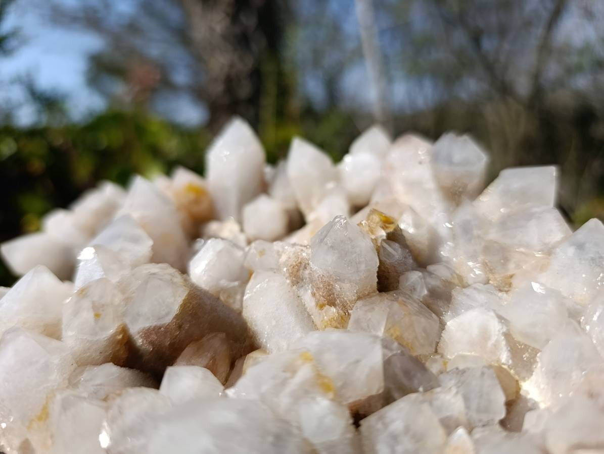 Natural Fairy Spirit Quartz Clusters x 2 From South Africa - Toprock Gemstones and Minerals 