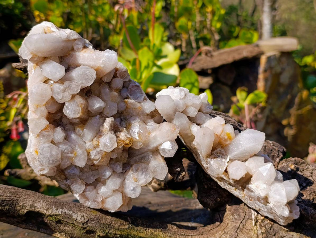 Natural Fairy Spirit Quartz Clusters x 2 From South Africa - Toprock Gemstones and Minerals 