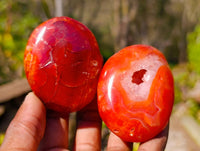 Polished Carnelian Agate Palm Stones x 16 From Madagascar