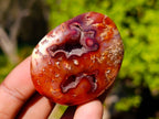 Polished Carnelian Agate Palm Stones x 16 From Madagascar - Toprock Gemstones and Minerals 
