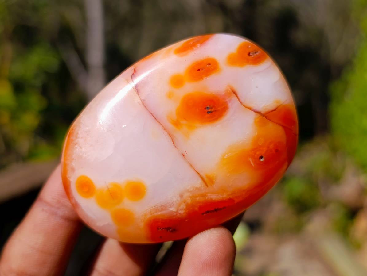 Polished Carnelian Agate Palm Stones x 16 From Madagascar - Toprock Gemstones and Minerals 