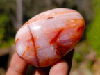Polished Carnelian Agate Palm Stones x 16 From Madagascar - Toprock Gemstones and Minerals 