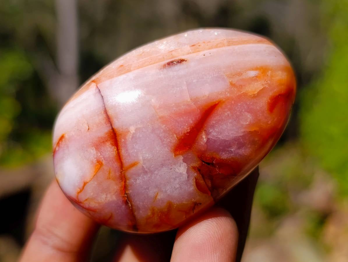 Polished Carnelian Agate Palm Stones x 16 From Madagascar - Toprock Gemstones and Minerals 