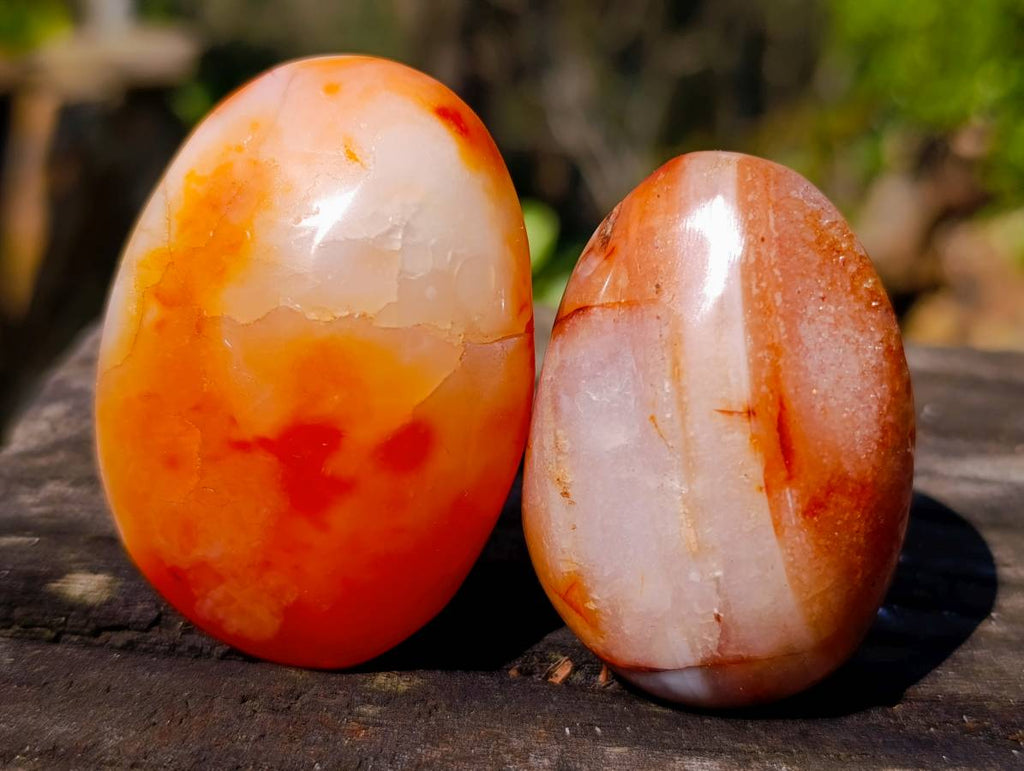 Polished Carnelian Agate Palm Stones x 16 From Madagascar - Toprock Gemstones and Minerals 