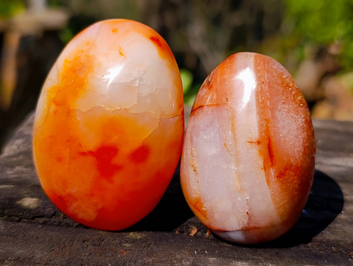 Polished Carnelian Agate Palm Stones x 16 From Madagascar - Toprock Gemstones and Minerals 